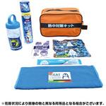 熱中対策キット ブレイン