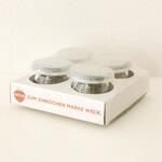 ホームセット ミニチューリップ WECK