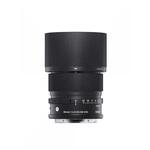 90mm F2.8 DG DN ソニーE 交換レンズ 90mm F2.8 DG DN ソニーEマウント SIGMA(シグマ)