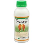 ソリストSC 理研グリーン