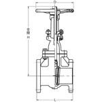 JIS 10K型 鋳鉄F形ゲートバルブ (外ねじ) 東洋バルヴ 【通販