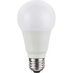 LED電球 全方向100W相当 東芝