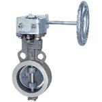 10K ステンレス鋼製バタフライバルブ(ギア式・PTFE)(GL-10UBシリーズ) KITZ(キッツ)