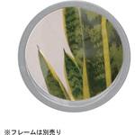 明かり採り アトムリビンテック