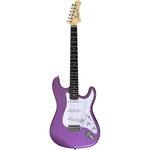 エレキギター Photogenic