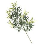 七夕笹 バンブー大枝 長さ110cm ストア・エキスプレス