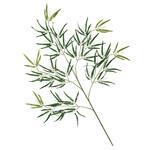 七夕大笹 長さ112cm ストア・エキスプレス