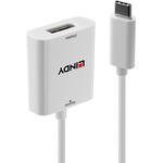 USB3.1 Type-C to DisplayPort アクティブ変換アタブタ LINDY