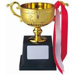 ごほうびカップ 金 100個 ナナミ