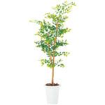 人工観葉植物 NACHI(不二越)