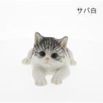 ベニーズキャット(リラックス) 紅石