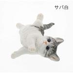 ベニーズキャット(ゴローン) 紅石