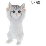 ベニーズキャット(手をあげろ) 紅石
