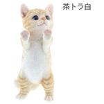 ベニーズキャット(外を眺める) 紅石