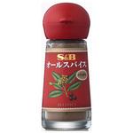 S&B オールスパイス パウダー 13g x5 ヱスビー食品