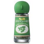 45123399 S&B イタリアンパセリ フリーズドライ 2g x5 ヱスビー食品