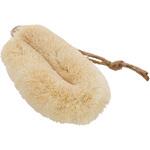 爪ブラシ 三共コーポレーション