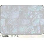 アワビシート 【白蝶貝】 ノーブランド
