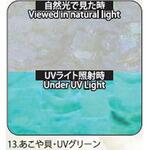 アワビシート 【あこや貝】 ノーブランド