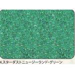 アワビシート 【スターダスト・ニュージーランドアワビ】 ノーブランド