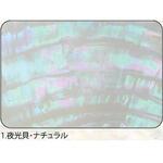 アワビシート 【夜光貝】 ノーブランド