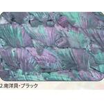 アワビシート 【南洋貝】 ノーブランド