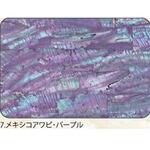 アワビシート 【メキシコアワビ】 ノーブランド