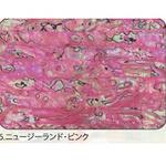 アワビシート 【ニュージーランドアワビ】 ノーブランド