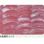 アワビシート 【高瀬貝】 ノーブランド
