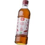ほうじ茶 綠(りょく) 500ml×24本 アイリスオーヤマ