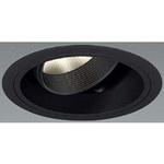 DUAL ユニバーサルDL D90/D60 3000K 狭角 ENDO(遠藤照明)