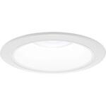 DL250形Φ100拡散30K白 Panasonic(パナソニック)