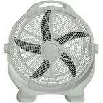 ビッグファン エスケイジャパン