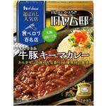 選ばれし人気店 牛豚キーマカレー ハウス食品