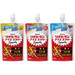 大正製薬 アイススラリーアソート 3種各4個 計12個 大正製薬