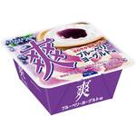 [冷凍]爽 ブルーベリーヨーグルト味 ロッテ