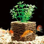 お魚天国バイオキューブ2個組 ファミリー・ライフ