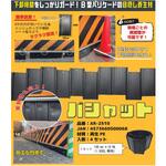 バシャット アラオ