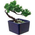 ミニ盆栽キット MINIBON アーテック[学校教材・教育玩具]