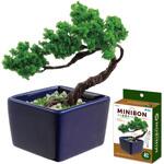 ミニ盆栽キット MINIBON アーテック[学校教材・教育玩具]