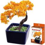 ミニ盆栽キット MINIBON アーテック[学校教材・教育玩具]