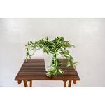 GAA-311 人工樹木/人工観葉植物 ワンダーリング 岩や