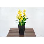 GAA-315 人工樹木/人工観葉植物 オンシジューム 岩や