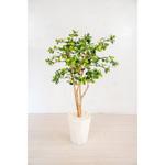 人工樹木/人工観葉植物 ガジュマル 岩や