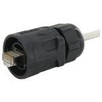 RJFRB6 Amphenol Socapex RJ45 モジュラーコネクタ， オス， RJ45コネクタ， ケーブルマウント， Cat5e， RJFRB6 AMPHENOL