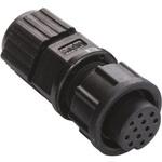 BU-12BFFA-LL7001 Amphenol Industrial 丸型コネクタ， 12極， スタンダード， パネルマウント， BU-12BFFA-LL7001 AMPHENOL