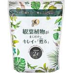 観葉植物がまくだけでキレイ+甦る 自然応用科学