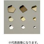 JCSS校正付き板状分銅ステンレスOIML型(E2級)【100mg】 大正天びん製作所