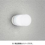 LED浴室灯(防雨・防湿型) DAIKO(大光電機)