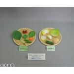 フードモデル 糖尿病指導/減塩食指導/野菜組み合わせ/食品20品目シリーズ イワイサンプル